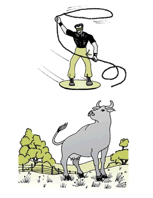 primary english cow.gif