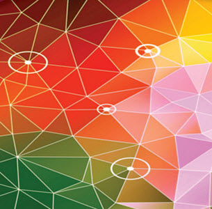 ncea category graphic.jpg